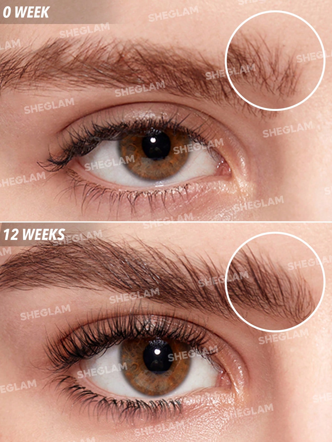 Sheglam Grow Pro Eyelash And Eyebrow Thickening Serum